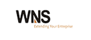 WNS Logo